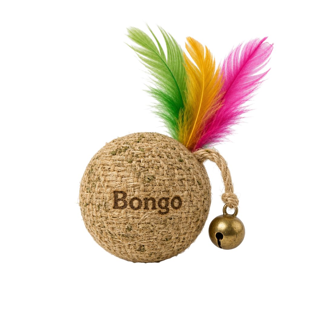 Bongo sisal feather cat ball